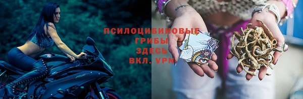 каннабис Алзамай