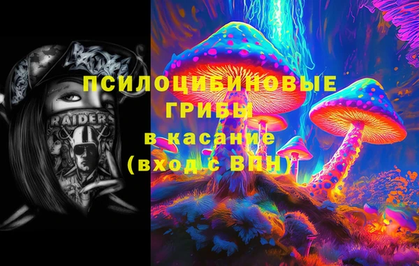 spice Алексеевка