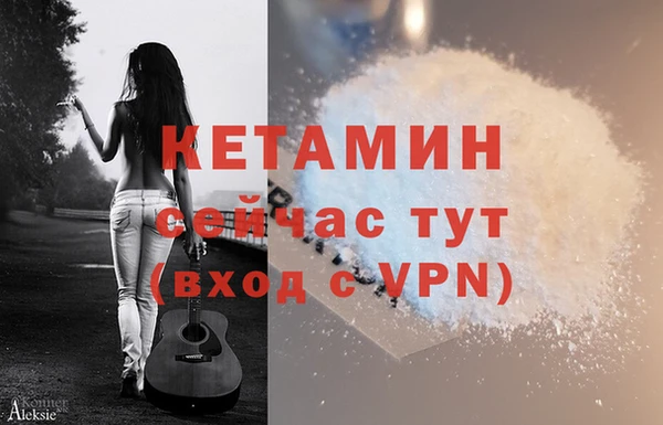 стаф Арсеньев