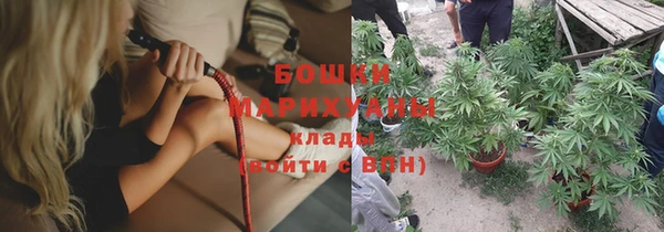 индика Армянск